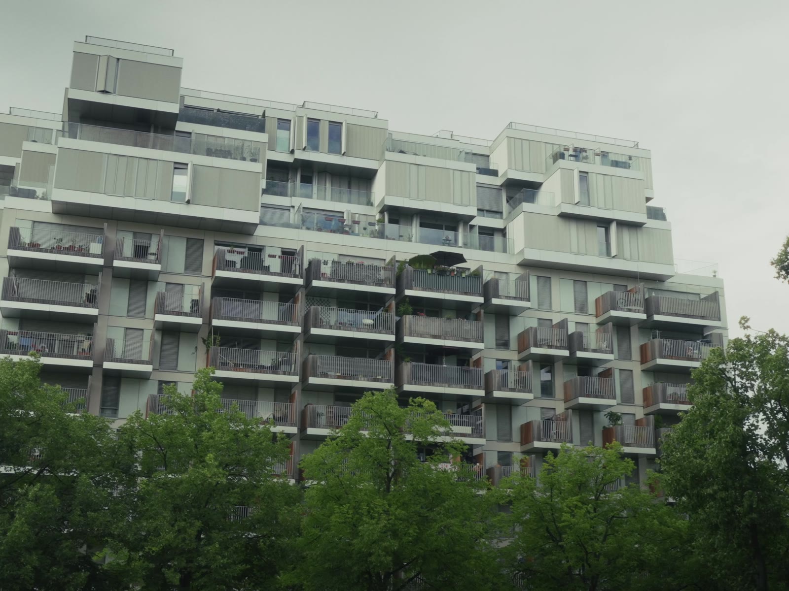 Les logements reconstruits au-dessus des arbres