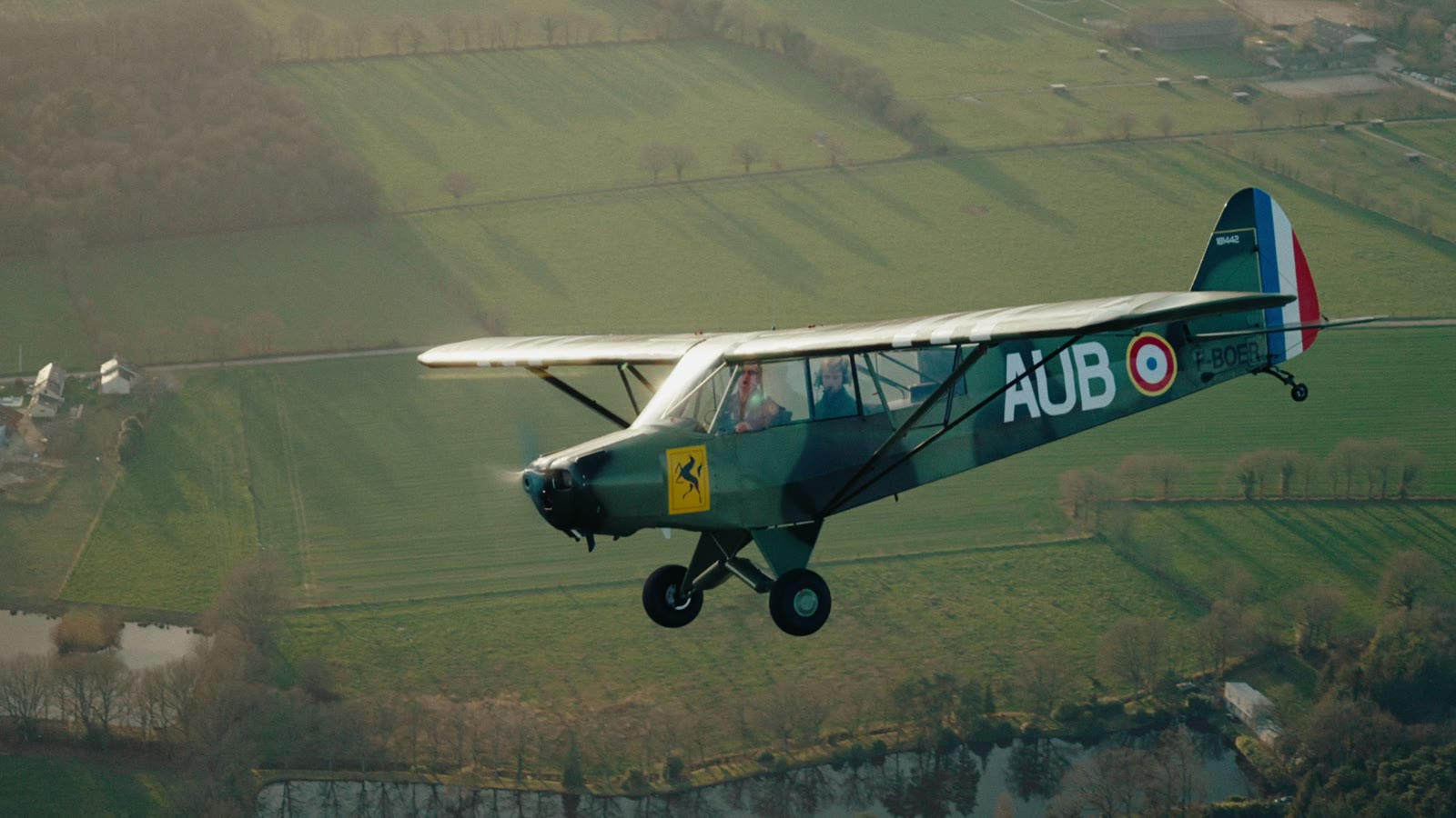 The Piper over fields, roundels on its tail